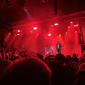 concert photo