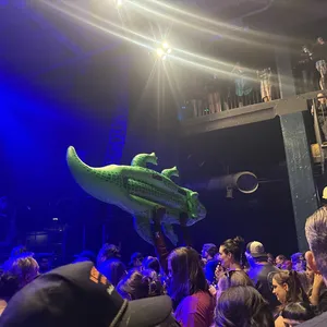 concert photo