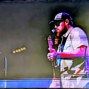 concert photo