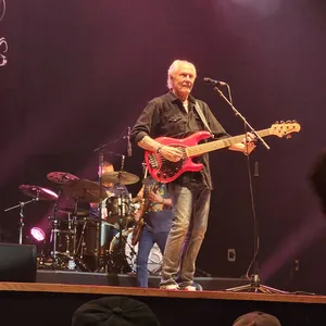 concert photo