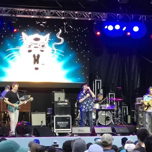 concert photo