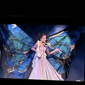 concert photo