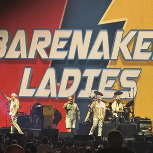 concert photo