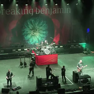 concert photo