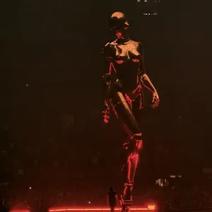 concert photo