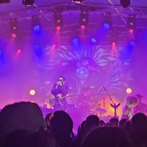 concert photo