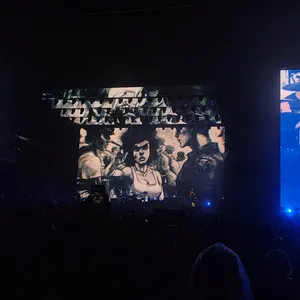 concert photo