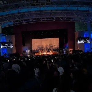 concert photo
