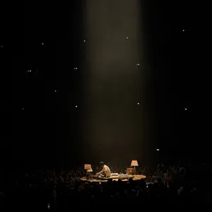 concert photo