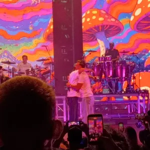 concert photo