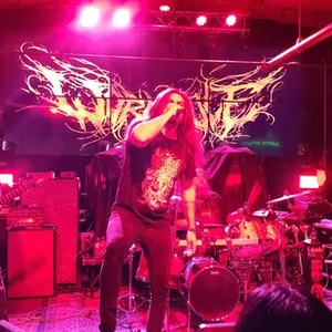 concert photo