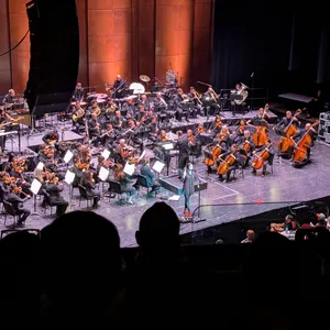 concert photo