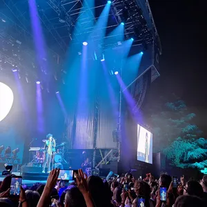 concert photo