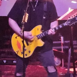 concert photo