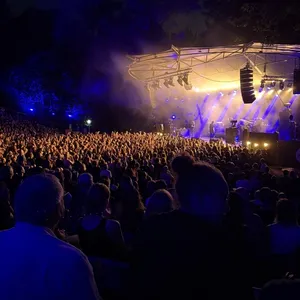 concert photo