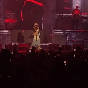 concert photo