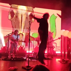 concert photo