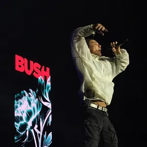 concert photo