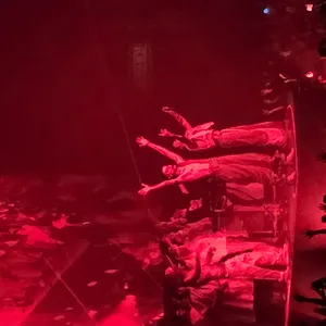 concert photo