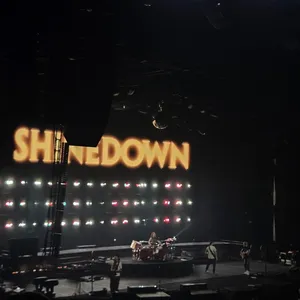 concert photo