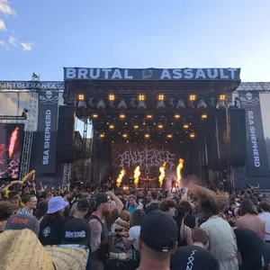 concert photo