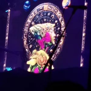 concert photo