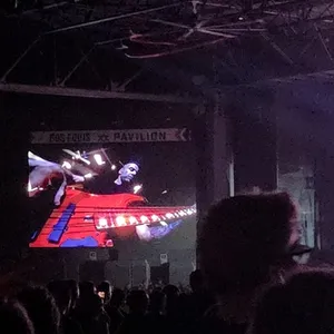 concert photo