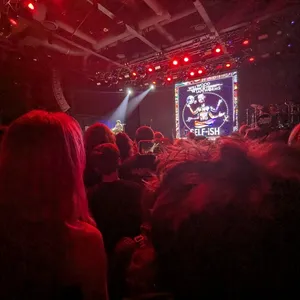 concert photo