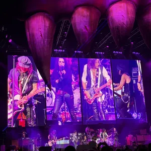concert photo