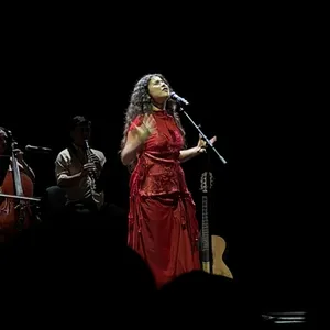 concert photo