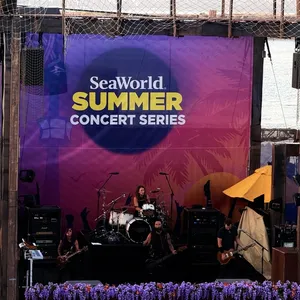 concert photo