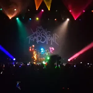 concert photo