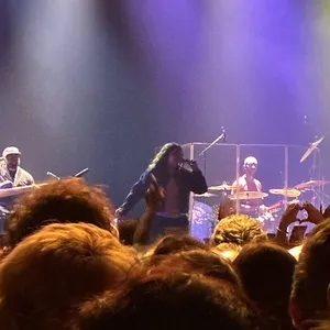 concert photo