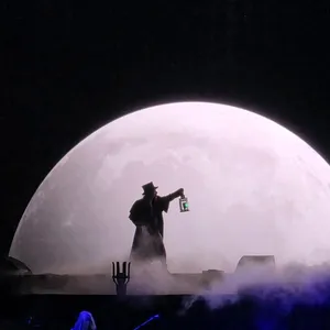 concert photo