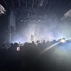 concert photo