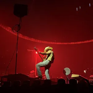 concert photo