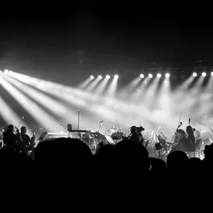 concert photo