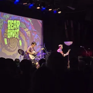 concert photo