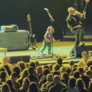 concert photo