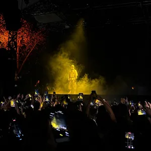 concert photo