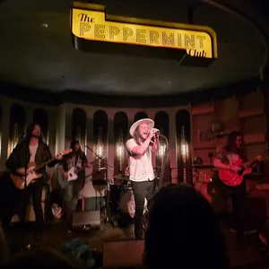 concert photo
