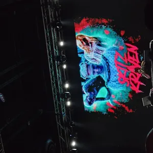 concert photo
