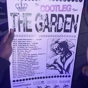 concert photo