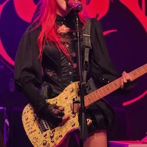 concert photo