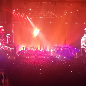 concert photo