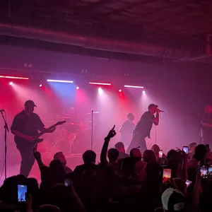 concert photo