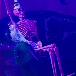 concert photo
