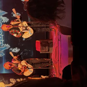concert photo