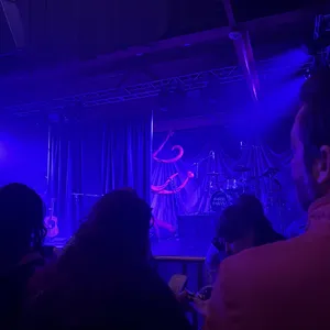 concert photo