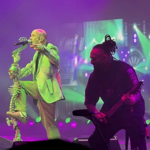 concert photo